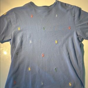 Polo by Ralph Lauren Kids Multicolor Embroidered Tee